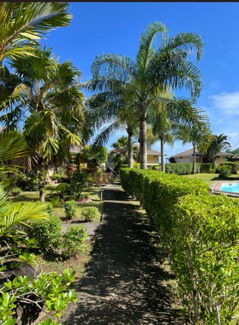 Bungalow Tiare Uturoa 外观 照片